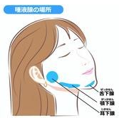 大唾液腺(大口腔腺)のイメージ